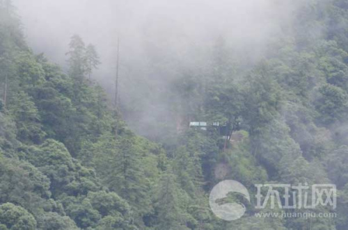 ��ӡ߅����ӡ܊���(b��o)վ���[��ԭʼɭ������