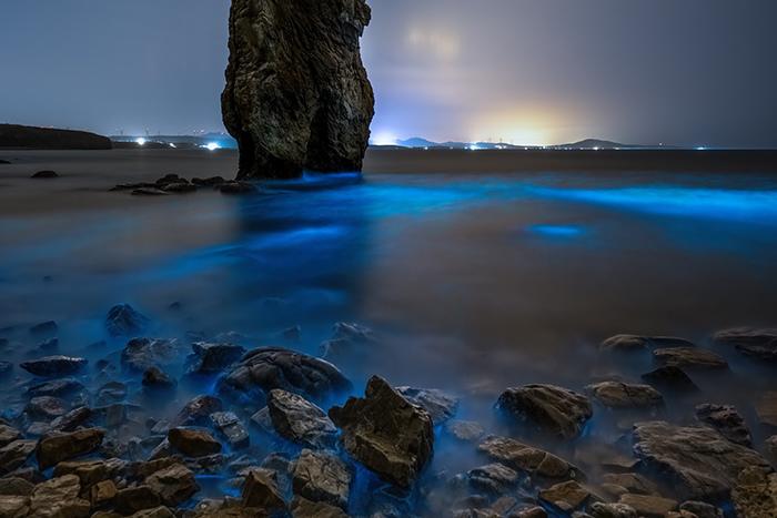 大連迎大面積“熒光?！本坝^