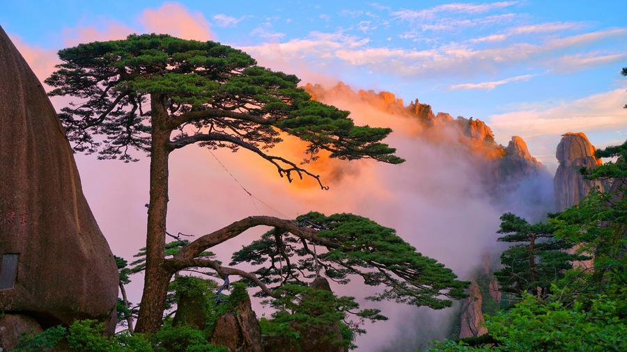 雨后黃山雨后放晴：云海、霞光、瀑布入畫來
