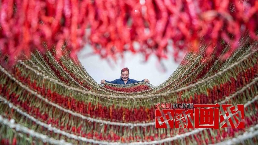 曬秋時間到！遍地斑斕好“豐”景