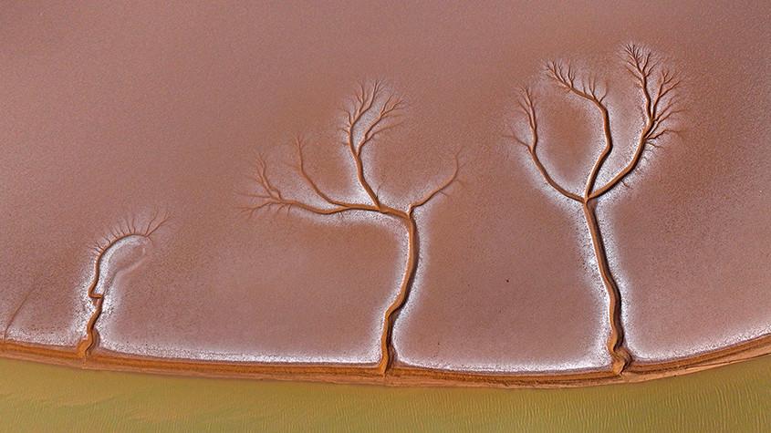 黃河入?？跐竦噩F(xiàn)“潮汐樹”景觀