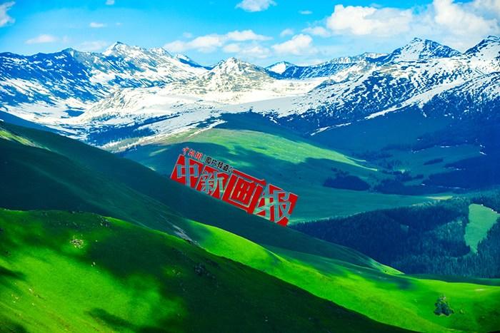 將夏天的“綠” 裝進(jìn)屏幕里，一組護(hù)眼壁紙請查收！