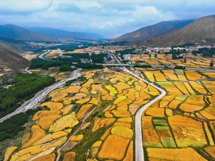 立秋時(shí)節(jié)高原青?！柏S景”初現(xiàn)