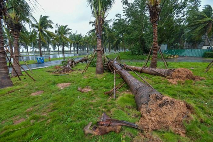 強(qiáng)臺風(fēng)“麥德姆”攜強(qiáng)風(fēng)雨影響?？?>
     <p>強(qiáng)臺風(fēng)“麥德姆”攜強(qiáng)風(fēng)雨影響?？?/p>
</a><a href=