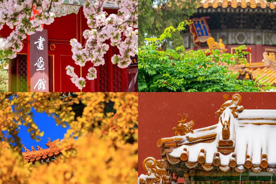 百歲快樂！一組圖領(lǐng)略故宮四季流轉(zhuǎn)之美