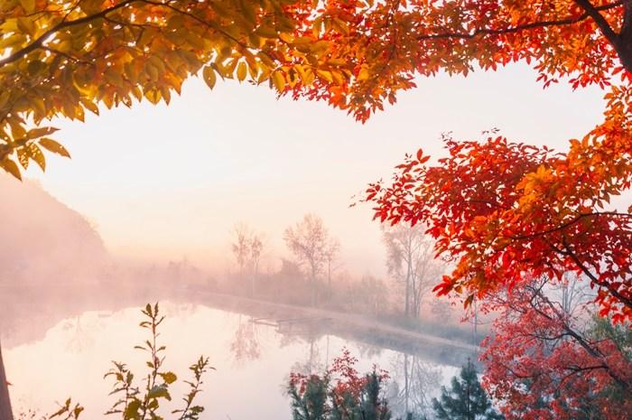 吉林舒蘭：紅楓似火 湖面薄霧籠罩