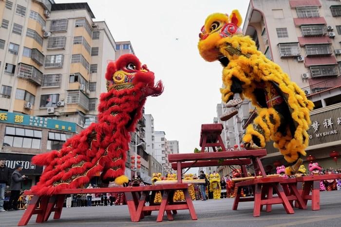 百頭雄獅舞動廣東南雄迎新春