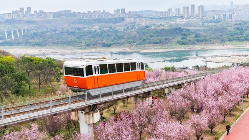 “穿梭春山的纜車(chē)”浪漫上線(xiàn)
