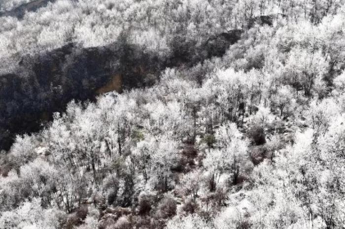黃土高原雪后現(xiàn)霧凇景觀 美不勝收