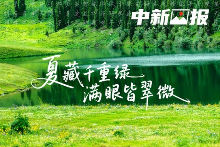 【詩畫中國】夏藏千重綠 滿眼皆翠微