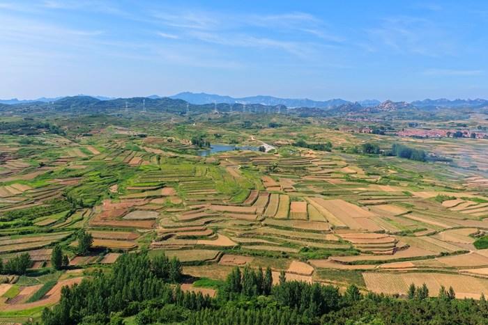 山東日照：梯田疊翠 風(fēng)光如畫