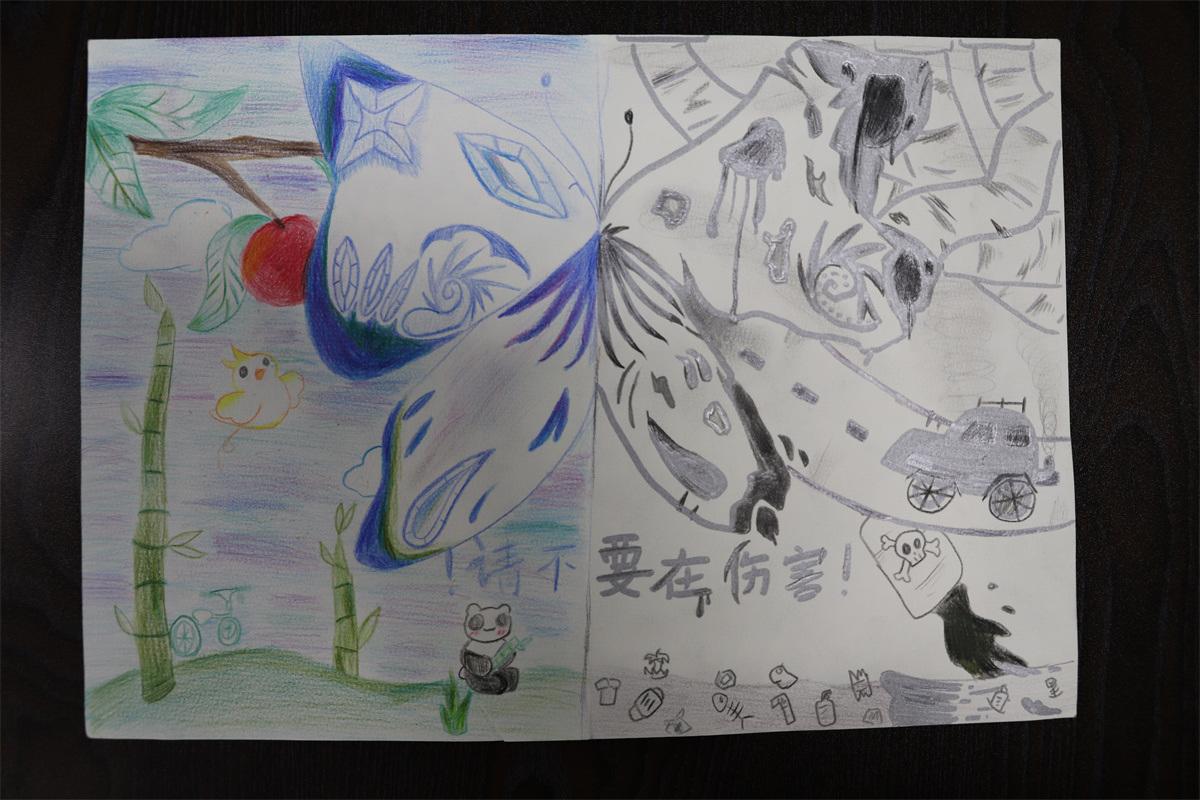 《請不要再傷害！》孫妙然 11歲