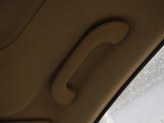 ��(gu��)��(n��i)��ÿ����nϵ܇(ch��)���w�(y��n)Forte�����