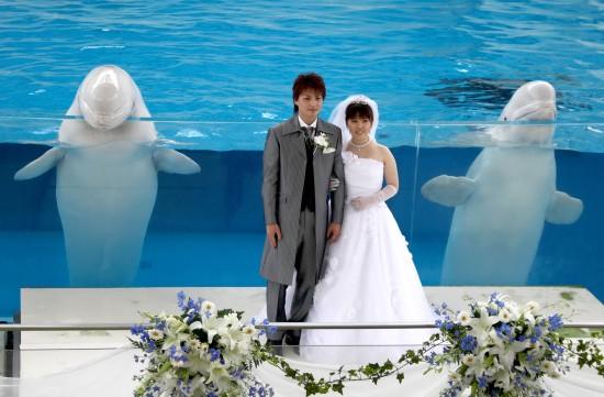 �M�D��һ��(du��)�׺��������˳䮔(d��ng)���ɰ���