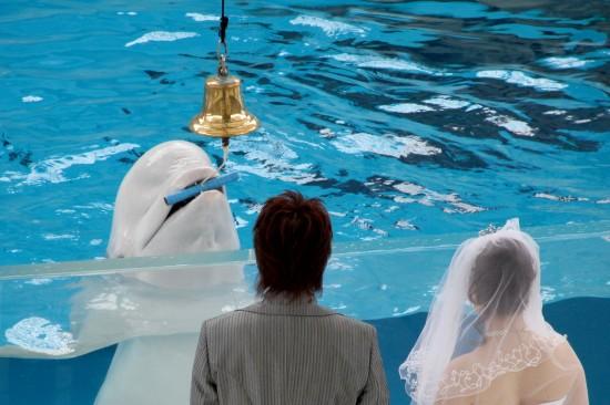 �M�D��һ��(du��)�׺��������˳䮔(d��ng)���ɰ���