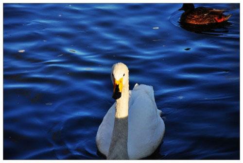 ���ܔ�(sh��)�a���C(j��)�Ј�(ch��ng) ���M(f��i)���P(gu��n)ע��ǰʮ��C(j��)