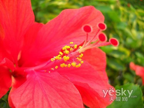 ����߀��Ϧꖼt ʮһ�����������C�xُ?f��)��]