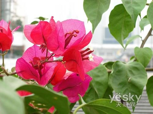 ����߀��Ϧꖼt ʮһ�����������C�xُ?f��)��]