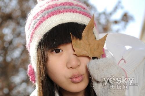 ʮһ���Ό��I(y��)֮�x �Ј����T�η����C(j��)���]