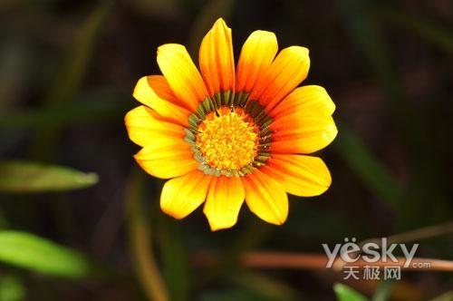 ʮһ���Ό��I(y��)֮�x �Ј�(ch��ng)���T�η����C(j��)���]