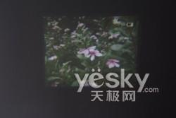 ��D�錦��ǰ���҈D�錦����