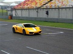 ���(q��)�Uţ���w�(y��n)�m������LP550-2������ ��܇֮��