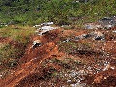 G 500�I(l��ng)㕡���ԇ�{���YȫϵSUV܇�� ��܇֮��