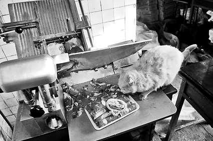 �и�õ���Ƭ�������ϵİ�ɫ�����؈���f����������Ƭ��ؓ(f��)؟(z��)�и���Ƭ��Ů�Ӵ󲿷֕r(sh��)��ҕ����Ҋ(ji��n) ���M�DƬ ����(b��o)ӛ�� ���� �z