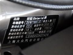 ��܇֮�� �Ϻ���˹���_(d��) ���J 2010�� 1.8tsi dsg������