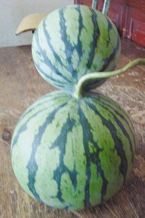 ���K���]���F(xi��n)��Ҋ(ji��n)�B�w����(�D)