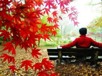 <strong>�Ͼ���ϼɽ</strong>