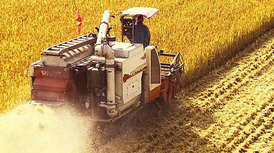 “察實情、辦實事、求實效”，這十句話，振奮人心！