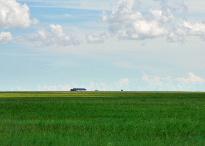 這個夏天，留一幀給“呼倫貝爾綠”
