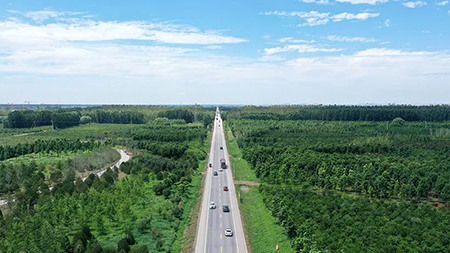 只此青綠，中國(guó)“雙碳”雄心背后的山河夢(mèng) 