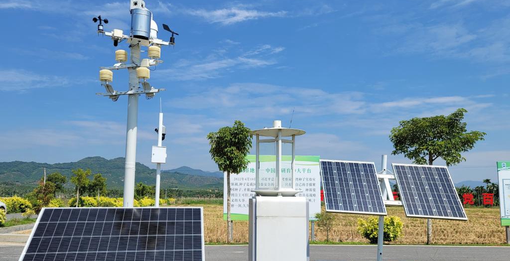 探訪在種業(yè)科研和創(chuàng)業(yè)熱土中成長的三亞“南繁硅谷”<p>晚秋的三亞，午間陽光依然炙熱。在崖州區(qū)壩頭南繁基地，由太陽能電池板提供能源，生態(tài)監(jiān)測系統(tǒng)、物聯(lián)網(wǎng)蟲情信息采集系統(tǒng)不間斷工作。<p>