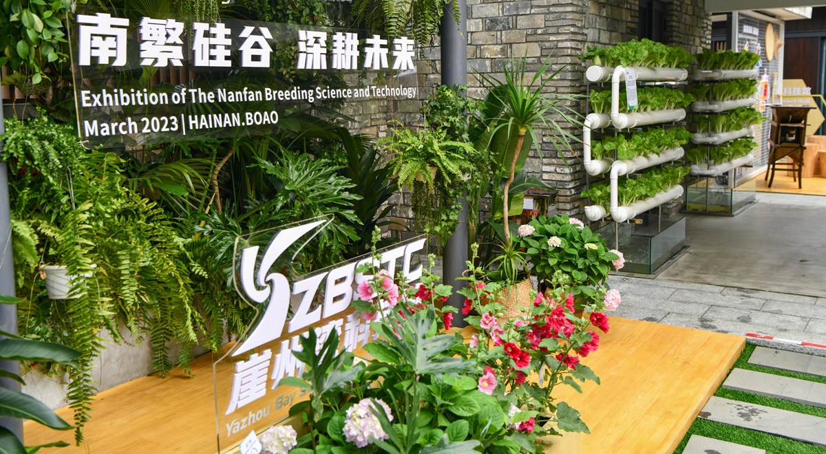 三亞攜南繁果實(shí)、深海利器亮相博鰲亞洲論壇年會(huì)