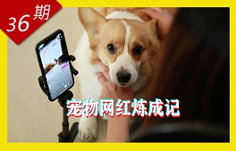 寵物網紅煉成記