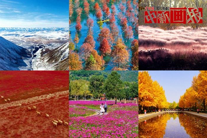 初冬至 大自然多彩冬衣“上新”啦！