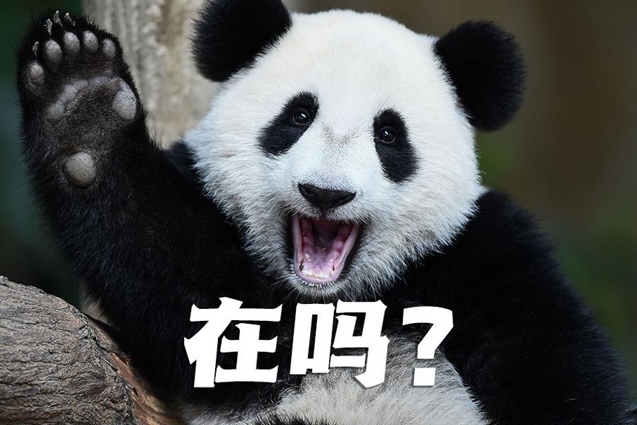 【世界微笑日特刊】嘿嘿，今天你笑了嗎？