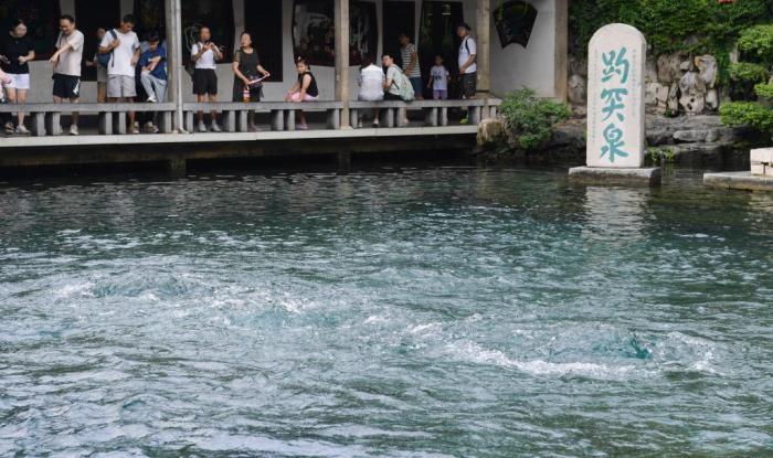 山東濟南：趵突泉“水涌若輪”美景重現(xiàn)